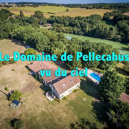De Pellecahus Tatil Evi *
